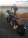 The Harley