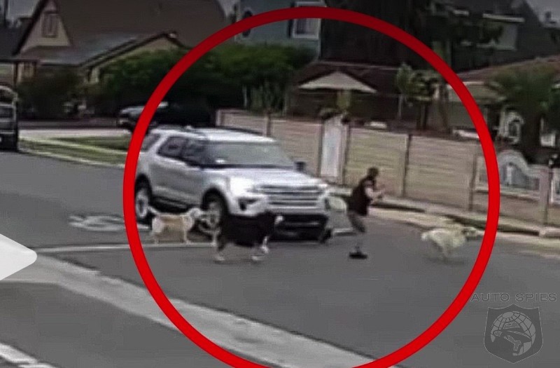 SHOCKING VIDEO! Woman Walking Her Three Dogs Gets RUN OVER By Hit And Run Driver!