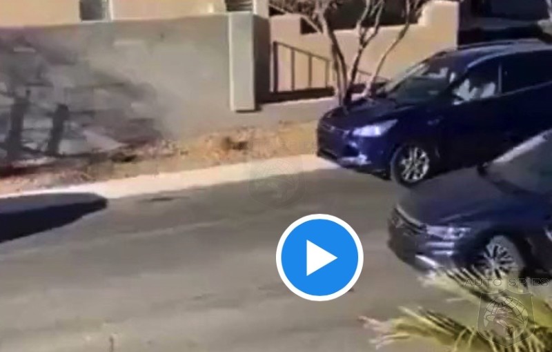 WATCH: BE HONEST! We ALL Know People Who Park Like This Lady. If There EVER Was An Ad For PARK ASSIST, THIS Is It!