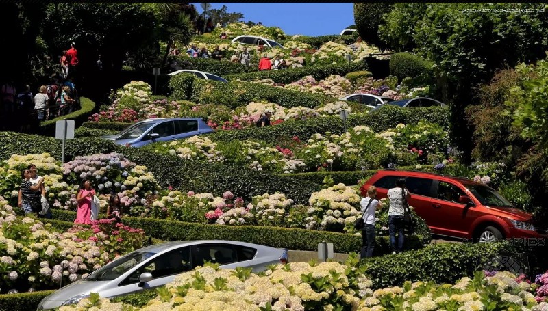 Tourist Trap: San Francisco Democrats Want To Charge Up To $10 To Drive Down Lombard Street