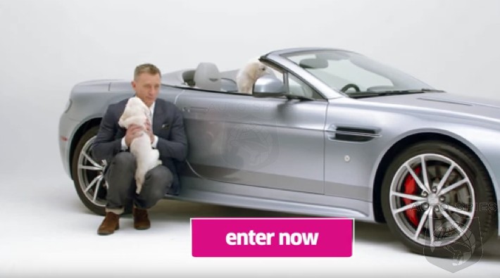 What Does Daniel Craig And These Puppies Have To Do With YOU Winning An Aston Martin, You Ask?